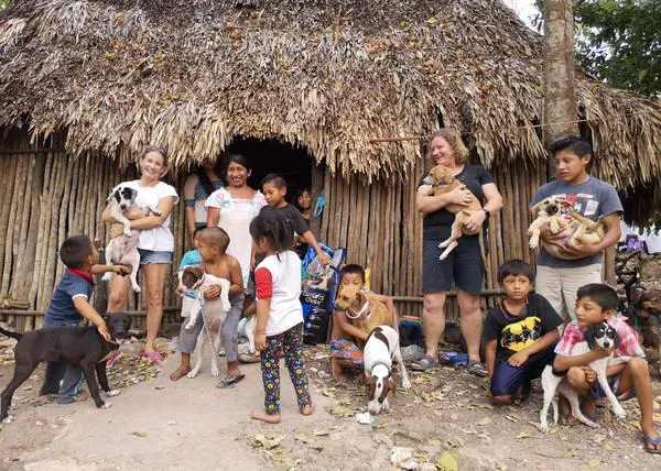 La indispensable labor de los voluntarios que ayudan a los perros de la calle en Tulum