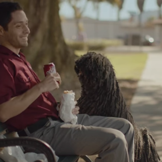 Un can diferente busca a un humano original: el El …