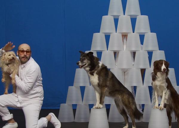 Por cierto rotación Maletín El mejor vídeo musical con canes? White Knuckles, de OK Go, con 12 perros y  una cabra