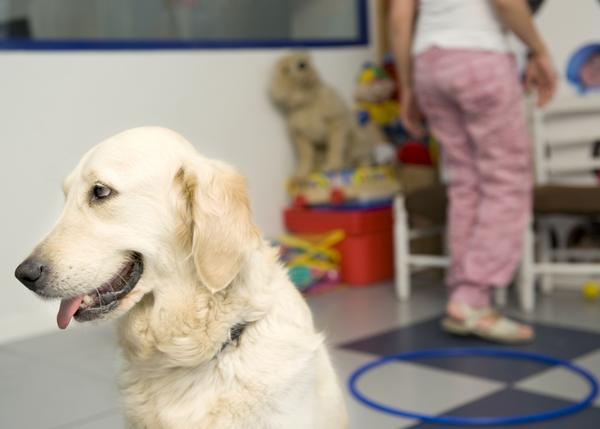 Buddies: Fundación Affinity lleva las terapias con animales a los centros de menores tutelados