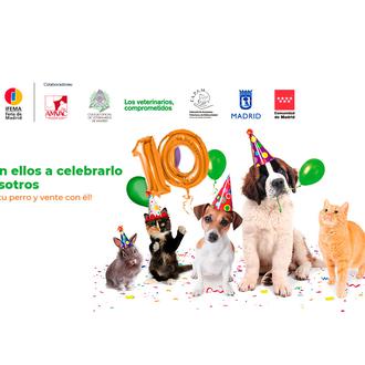 La edición virtual de 100x100 Mascota cierra consiguiendo fomentar más …