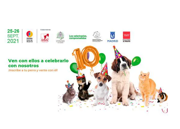La edición virtual de 100x100 Mascota cierra consiguiendo fomentar más de 200 adopciones