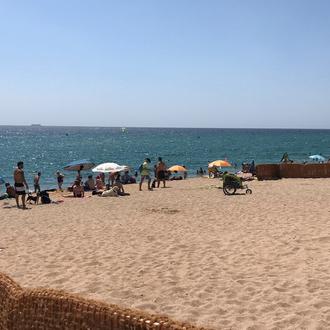 La playa para perros en Badalona ¡ya es una realidad!
