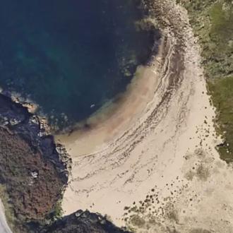 La Cala de Bens será la primera playa canina en …