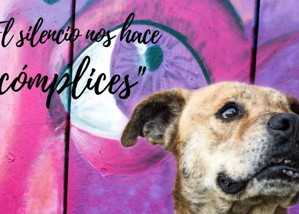 Pit Bulls contra el acoso escolar y un centro de recuperación canina: un (gran) proyecto que necesita nuestro apoyo