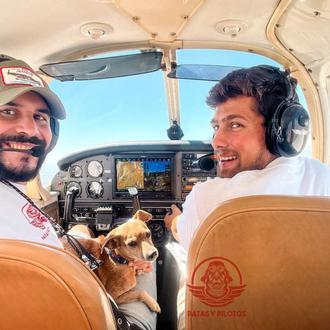El vuelo solidario de Rocky: un perrete de 10 años …
