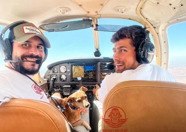 El vuelo solidario de Rocky: un perrete de 10 años de Valencia, viaja a Oviedo para ser adoptado