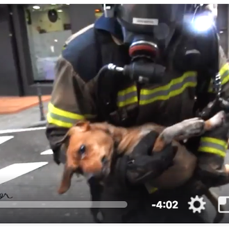 Impresionantes imágenes de los bomberos de Barakaldo luchando para reanimar …