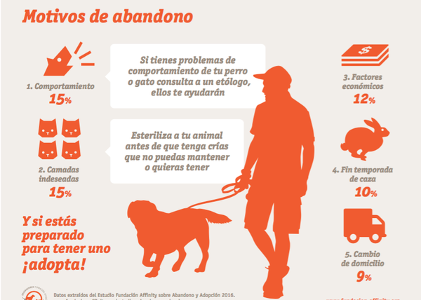 Mestizo, mediano o grande y adulto, perfil del perro abandonado en España