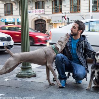Agenda SrPerro noviembre: fotos perrunas, mercados con mucho arte...