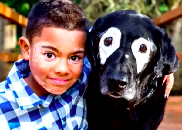 Un niño con vitiligo recupera la sonrisa y pierde la vergüenza al conocer a un perro como él