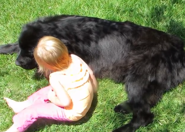 Parejas imbatibles: una niña chiquita y su perro grande, Sierra y el Terranova, Sebastien