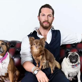 Los perros y Tom Hardy, un amor que supera la …