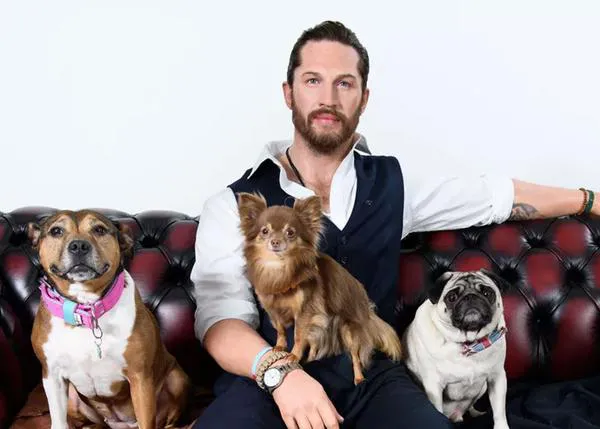 Los perros y Tom Hardy, un amor que supera la realidad :-)