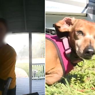 Un héroe anónimo salva a dos perros, un gato y …
