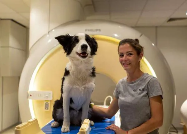 Los perros aprenden a diferenciar nuevas palabras de forma muy similar a como lo hacen los niños pequeños