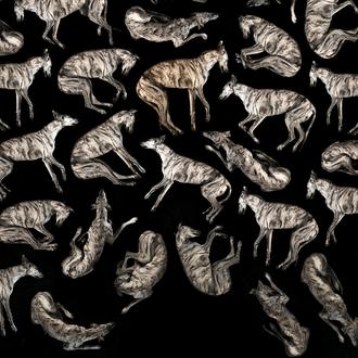 10 Documentales y películas recomendables para humanos perrunos: #YoMeQuedoEnCasa