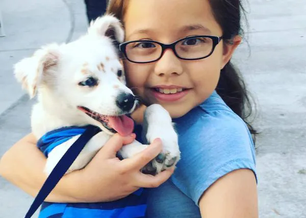 Una niña y su mejor amigo: la niña sorda y su perro sordo al que ella enseña la lengua de signos