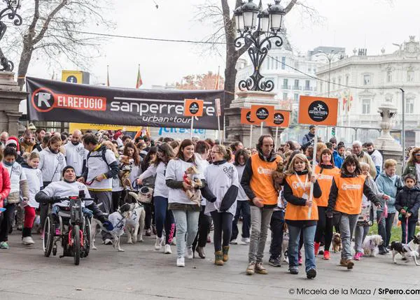 Preparados (y solidarios), listos... ¡ya! Fotos de la SanPerrestre 2015
