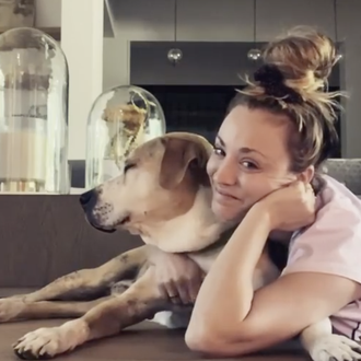 La perruna y solidaria actriz Kaley Cuoco destrozada por la …