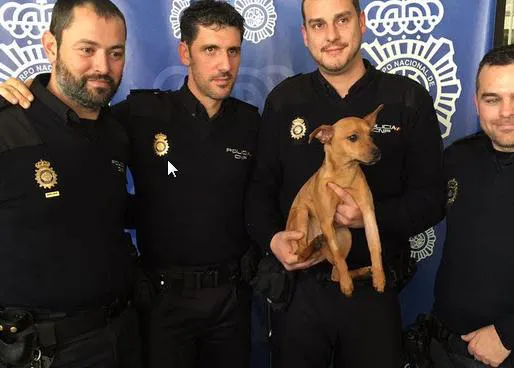 La policía de Alicante rescata y adopta a un cachorrote severamente maltratado