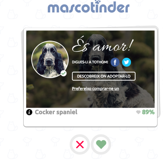 Mascotinder & otros consejos de los veterinarios catalanes a la hora …