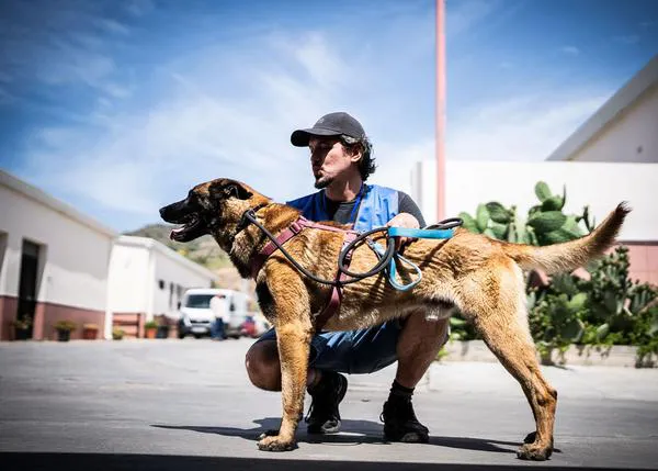 Málaga anuncia mejoras en el Centro de Protección Animal Municipal con nuevos espacios, servicios y formación a los adoptantes