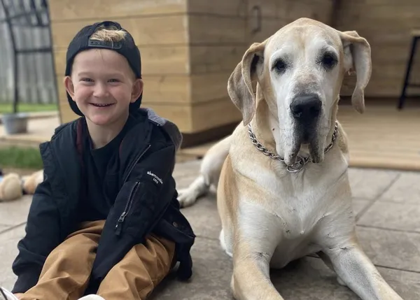 Parejas imbatibles que generan sonrisas por doquier: un niño chico y su mejor amigo, un Gran Danés