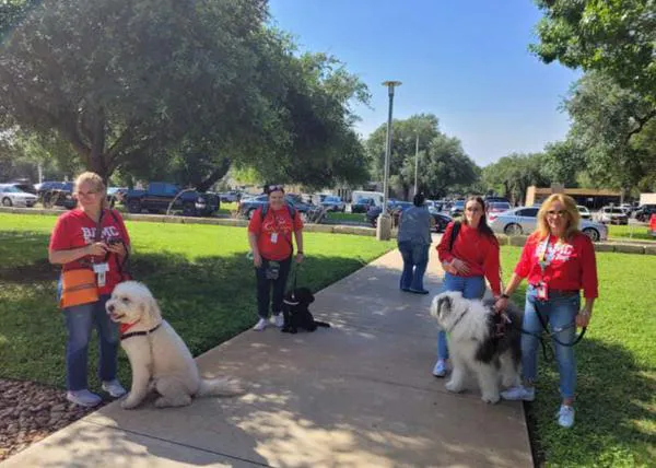 Perros de terapia acompañan a las familias devastadas por la matanza en el colegio de Texas