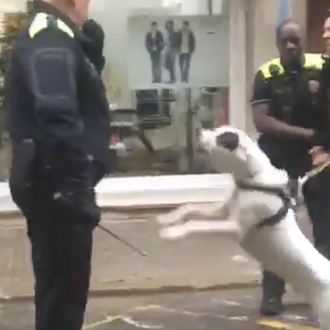 Denuncian la actuación violenta de un policía de Terrassa enfrentándose …