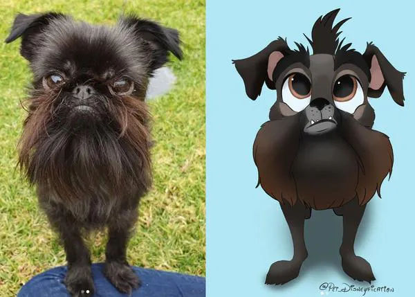 Perros y gatos 