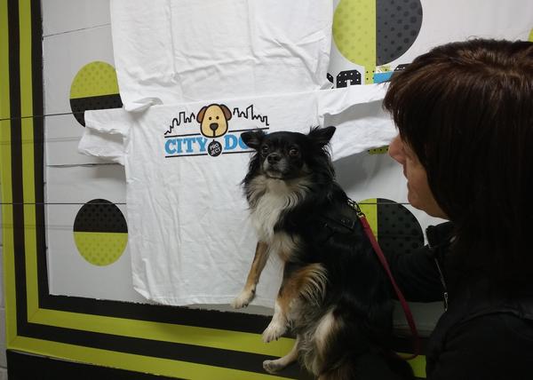 Barakaldo City Dog, el proyecto que apuesta por educar a los humanos perrunos en positivo ¡y funciona!