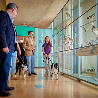 Perros bienvenidos en los Museos de Tenerife: comienza una prueba …