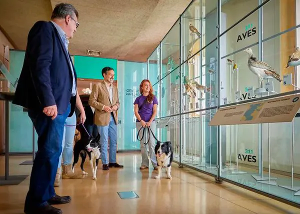 Perros bienvenidos en los Museos de Tenerife: comienza una prueba de tres meses que, esperamos, sea todo un éxito