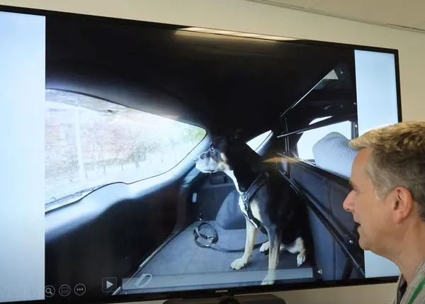 ¿Sueñan los perros con viajar en coches eléctricos? ¡Pues parece que sí!