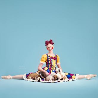 Perros en adopción posan con los bailarines del Saint Louis …