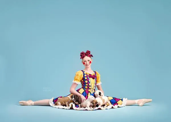 Perros en adopción posan con los bailarines del Saint Louis Ballet: The Muttcracker en acción