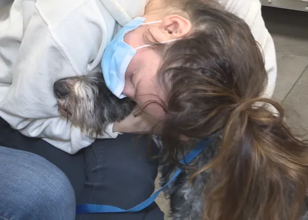 Una pareja de recién casados cancela su viaje de novios para buscar a su perro, perdido por el canguro canino