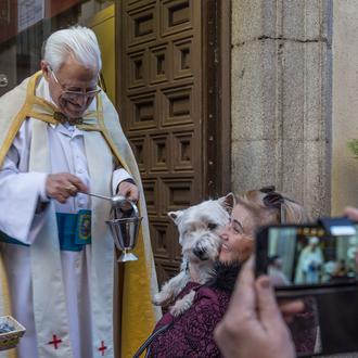 Bendiciones de animales y actividades con perros por San Antón …