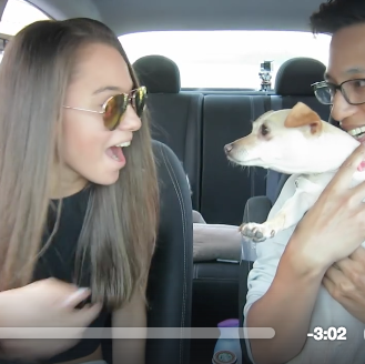 Un viaje en Uber con sorpresa perruna, un viaje con …