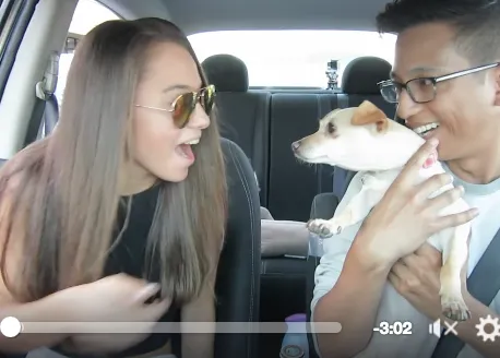 Un viaje en Uber con sorpresa perruna, un viaje con canes en adopción