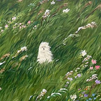 Perros (y ovejas) muy zen que disfrutan del viento y …