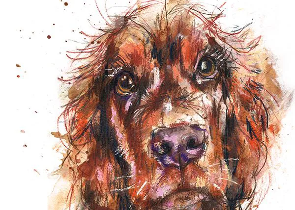 El fabuloso arte animal de Laura McKendry o cómo captar la mirada de un perro a su humano