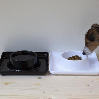 ¿Tu SrPerro es un gourmet original? cuéntanoslo y ¡puedes conseguir …