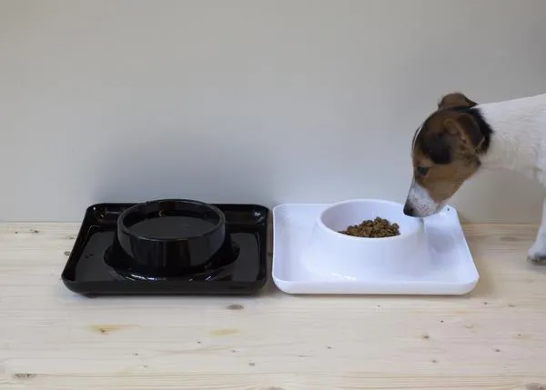 ¿Tu SrPerro es un gourmet original? cuéntanoslo y ¡puedes conseguir un estiloso comedero!