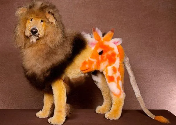 El controvertido mundo de la peluquería canina creativa