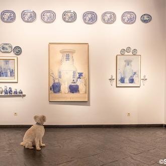 Galerías de arte donde son bienvenidos los perros en Madrid …