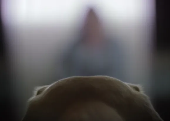 Una mujer relata cómo perdió la vista y la gran influencia de su primer perro guía