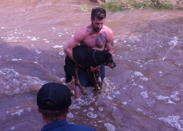 Un héroe inesperado: un hombre se lanza a un río al ver a un perro ahogándose