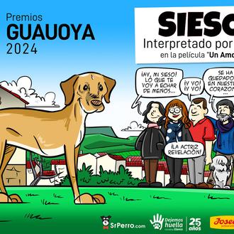 Flor, la protagonista canina de  Un Amor, premio GUAUOYA 2024 …